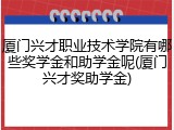 厦门兴才职业技术学院有哪些奖学金和助学金呢(厦门兴才奖助学金)