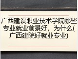 广西建设职业技术学院哪些专业就业前景好，为什么(广西建院好就业专业)