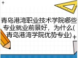 青岛港湾职业技术学院哪些专业就业前景好，为什么(青岛港湾学院优势专业)