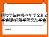 铜陵学院有哪些奖学金和助学金呢(铜陵学院奖助学金)