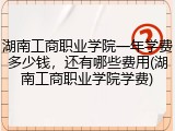湖南工商职业学院一年学费多少钱，还有哪些费用(湖南工商职业学院学费)