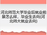 河北师范大学毕业后就业前景怎么样，毕业生去向(河北师大就业去向)