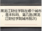 黑龙江财经学院在哪个城市，是本科吗，第几批(黑龙江财经学院城市批次)