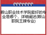 鞍山职业技术学院最好的专业是哪个，详细阐述(鞍山职院王牌专业)