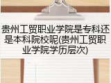 贵州工贸职业学院是专科还是本科院校呢(贵州工贸职业学院学历层次)