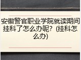 安徽警官职业学院就读期间挂科了怎么办呢？(挂科怎么办)