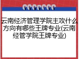 云南经济管理学院主攻什么方向有哪些王牌专业(云南经管学院王牌专业)