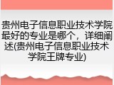 贵州电子信息职业技术学院最好的专业是哪个，详细阐述(贵州电子信息职业技术学院王牌专业)