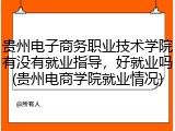 贵州电子商务职业技术学院有没有就业指导，好就业吗(贵州电商学院就业情况)