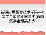 新疆应用职业技术学院一年奖学金最多能拿多少(新疆奖学金最高多少)