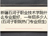 新疆石河子职业技术学院什么专业最好，一年招多少人(石河子职院热门专业招生)
