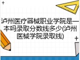 泸州医疗器械职业学院是一本吗录取分数线多少(泸州医械学院录取线)
