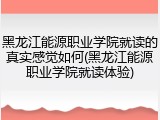 黑龙江能源职业学院就读的真实感觉如何(黑龙江能源职业学院就读体验)