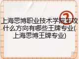 上海思博职业技术学院主攻什么方向有哪些王牌专业(上海思博王牌专业)