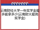 云南财经大学一年奖学金最多能拿多少(云南财大最高奖学金)