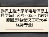 武汉工程大学邮电与信息工程学院什么专业就业比较好，原因是啥(武汉工程大学优势专业)