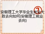 安徽理工大学毕业生就业大致去向如何(安徽理工就业去向)