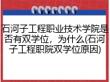 石河子工程职业技术学院是否有双学位，为什么(石河子工程职院双学位原因)