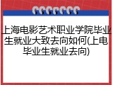 上海电影艺术职业学院毕业生就业大致去向如何(上电毕业生就业去向)