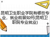 昆明卫生职业学院有哪些专业，就业前景如何(昆明卫职院专业就业)