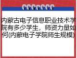 内蒙古电子信息职业技术学院有多少学生，师资力量如何(内蒙电子学院师生规模)