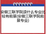 安徽三联学院读什么专业比较有前景(安徽三联学院前景专业)