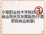 宁夏职业技术学院好不好，就业现状及发展趋势(宁夏职院就业前景)
