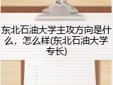 东北石油大学主攻方向是什么，怎么样(东北石油大学专长)