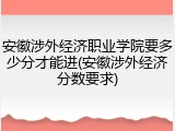 安徽涉外经济职业学院要多少分才能进(安徽涉外经济分数要求)