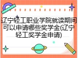 辽宁轻工职业学院就读期间可以申请哪些奖学金(辽宁轻工奖学金申请)