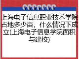 上海电子信息职业技术学院占地多少亩，什么情况下成立(上海电子信息学院面积与建校)
