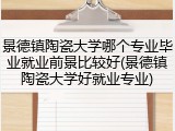 景德镇陶瓷大学哪个专业毕业就业前景比较好(景德镇陶瓷大学好就业专业)