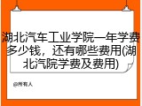 湖北汽车工业学院一年学费多少钱，还有哪些费用(湖北汽院学费及费用)