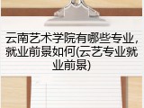 云南艺术学院有哪些专业，就业前景如何(云艺专业就业前景)