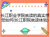 长江职业学院就读的真实感觉如何(长江职院就读体验)