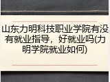 山东力明科技职业学院有没有就业指导，好就业吗(力明学院就业如何)