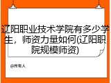 辽阳职业技术学院有多少学生，师资力量如何(辽阳职院规模师资)