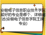 安徽电子信息职业技术学院最好的专业是哪个，详细阐述(安徽电子信息学院王牌专业)