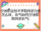 宁波职业技术学院师资力量怎么样，名气如何(宁波职院师资名气)