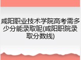 咸阳职业技术学院高考需多少分能录取呢(咸阳职院录取分数线)