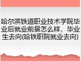 哈尔滨铁道职业技术学院毕业后就业前景怎么样，毕业生去向(哈铁职院就业去向)