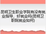 昆明卫生职业学院有没有就业指导，好就业吗(昆明卫职院就业如何)