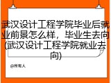 武汉设计工程学院毕业后就业前景怎么样，毕业生去向(武汉设计工程学院就业去向)
