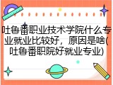 吐鲁番职业技术学院什么专业就业比较好，原因是啥(吐鲁番职院好就业专业)