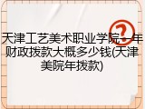 天津工艺美术职业学院一年财政拨款大概多少钱(天津美院年拨款)