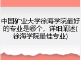 中国矿业大学徐海学院最好的专业是哪个，详细阐述(徐海学院最佳专业)