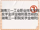 湖南三一工业职业技术学院奖学金评定细则是怎样的(湖南三一职院奖学金细则)