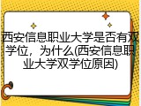 西安信息职业大学是否有双学位，为什么(西安信息职业大学双学位原因)