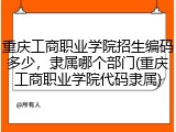 重庆工商职业学院招生编码多少，隶属哪个部门(重庆工商职业学院代码隶属)