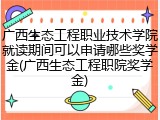 广西生态工程职业技术学院就读期间可以申请哪些奖学金(广西生态工程职院奖学金)